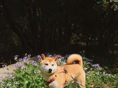 -惠山国家森林公园