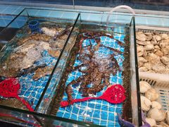 -争先鲜·蒸汽海鲜自助·鲜切牛肉