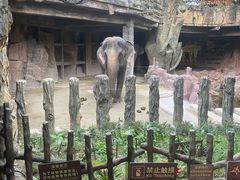 -长鹿旅游休博园