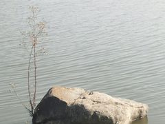 -美兰湖景区