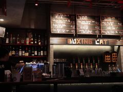 -Boxing Cat Brewery拳击猫精酿啤酒馆(永福店)