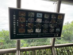 景点-福道