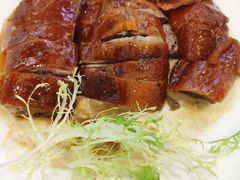 -新兴家喻酒家·羊城名宴(昌岗店)