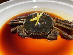 醉蟹-成隆行·蟹王府(九江路店)