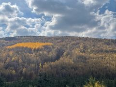 -塞罕坝国家级自然保护区