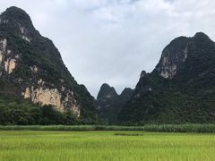 -明仕田园