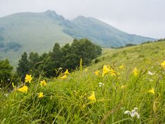 -灵山