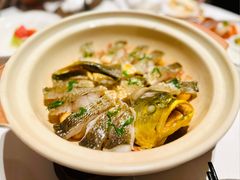 -人间采蜜(海信广场店)