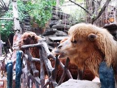 -长鹿旅游休博园