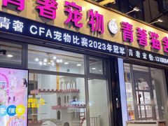 -青奢宠物·青奢猫舍