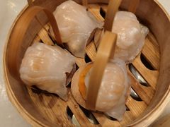 -金鼎轩(方庄天坛店)