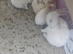 -新华百货CC Park购物广场