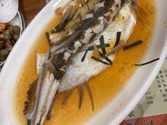 清蒸白水鱼-洞天食府(北大街店)