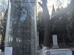 -赵州桥景区