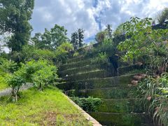 -楠溪江风景名胜区