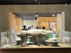 -帕帕拉兹宠物(亚洲旗舰店)