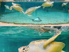 -广州海洋馆