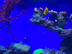 -海合安青岛极地海洋公园