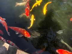 -湖鲜楼
