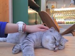 -拾壹cafe·工作室