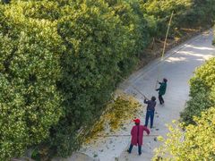 -苏州市吴中区光福窑上花果蜜饯厂