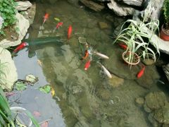 android_upload_pic-颐而康·按摩·艾灸·足疗(汽车东站店)