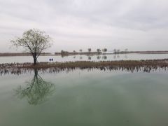 -苏州吴中太湖旅游区
