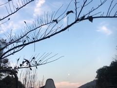 -杭州西湖风景名胜区-三生石