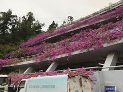 -深圳仙湖植物园-停车场