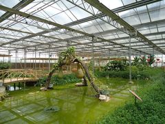 景点-观光南瓜园