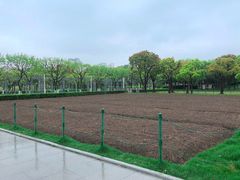 -大宁公园