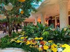 -拉斯维加斯永利酒店