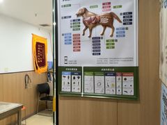 -米苏动物医院·犬猫专科·骨科外科内窥镜