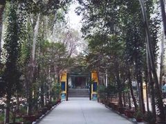 艾提尕尔清真寺-艾提尕尔清真寺