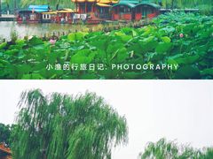 -济南大明湖景区