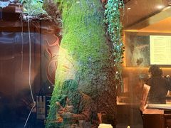 -星巴克(杭州北山路店)