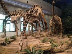 -自贡恐龙博物馆