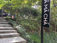 -MAMACHA妈妈茶(岳麓山店)