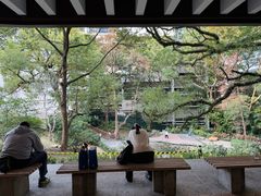 -香港大学