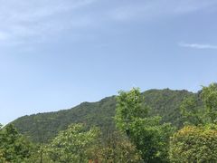 -斯瑞特国际酒店