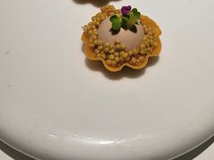 -觀芷隐轩