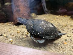 -广州长隆飞鸟乐园