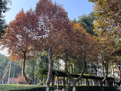 -四川大学(望江校区)