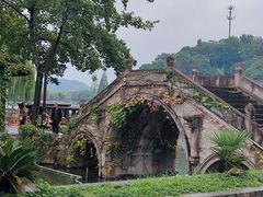 -鲁镇