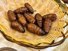 -鹤乡东北菜(崮山路店)