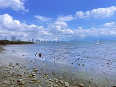 -深圳湾公园(南山区)