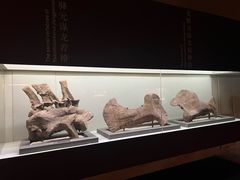 -世界恐龙谷景区