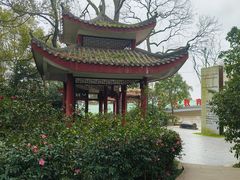 -南山植物园