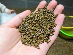 -幻贝家儿童乐园(苏州中心店)