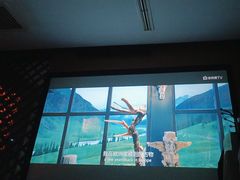 -华夏良子·足道·SPA·艾灸(苏州桥店)